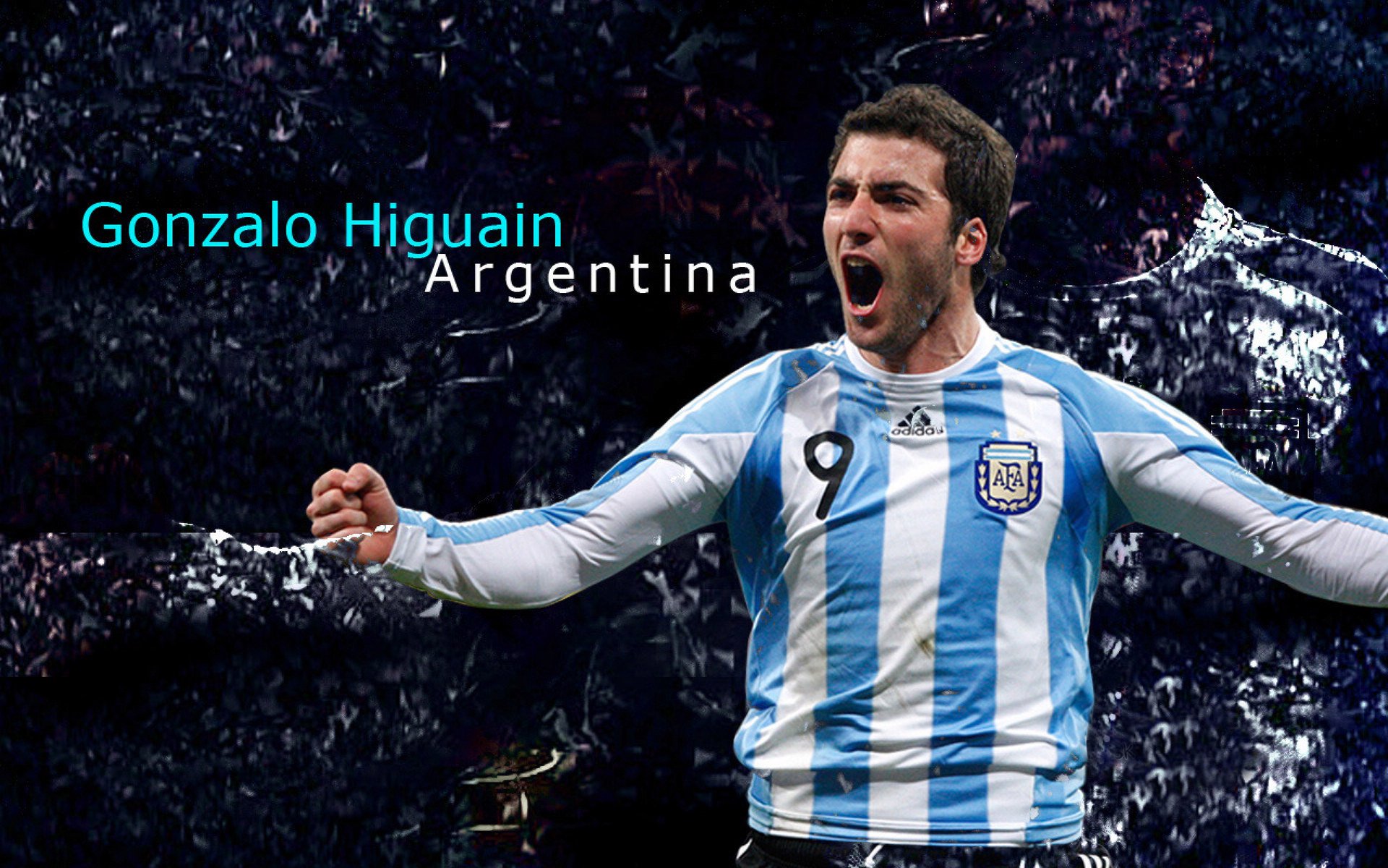 NBA新秀表现抢眼成为联盟焦点,nba新秀啥意思